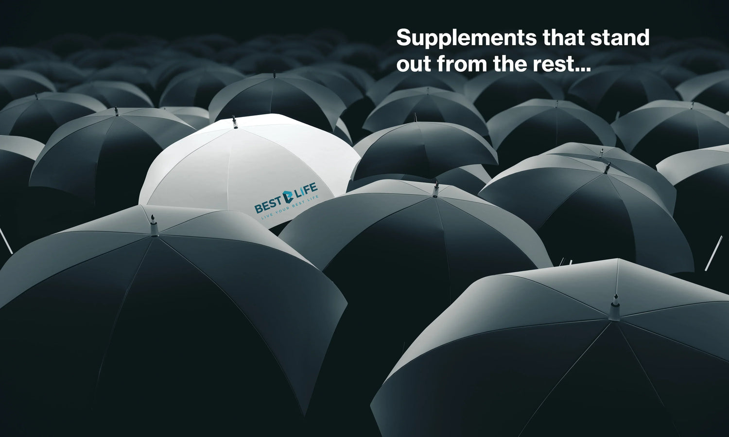 Best Life New Zealand: Comprehensive E-Manual on Peptides