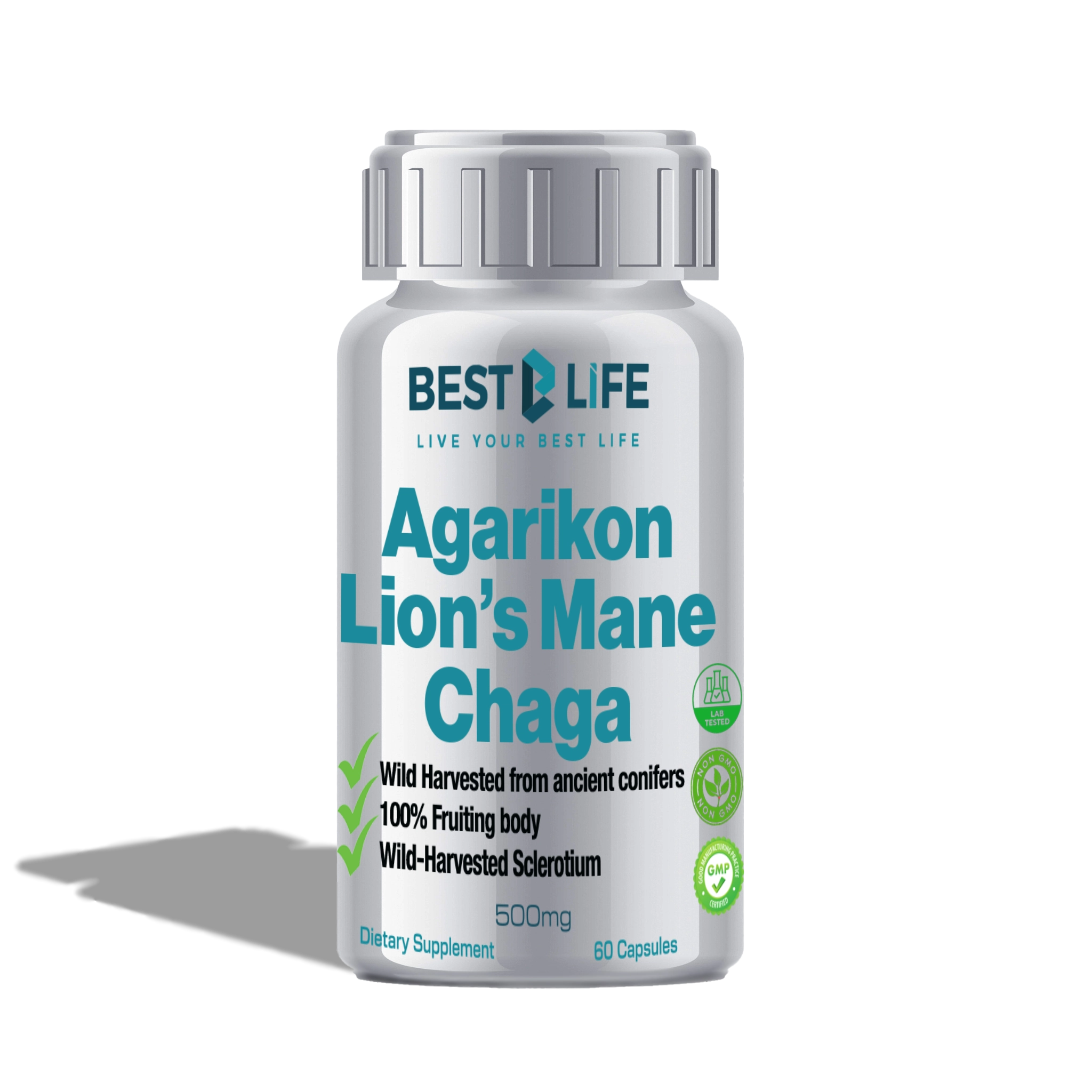 Agarikon, Lion's Mane & Chaga
