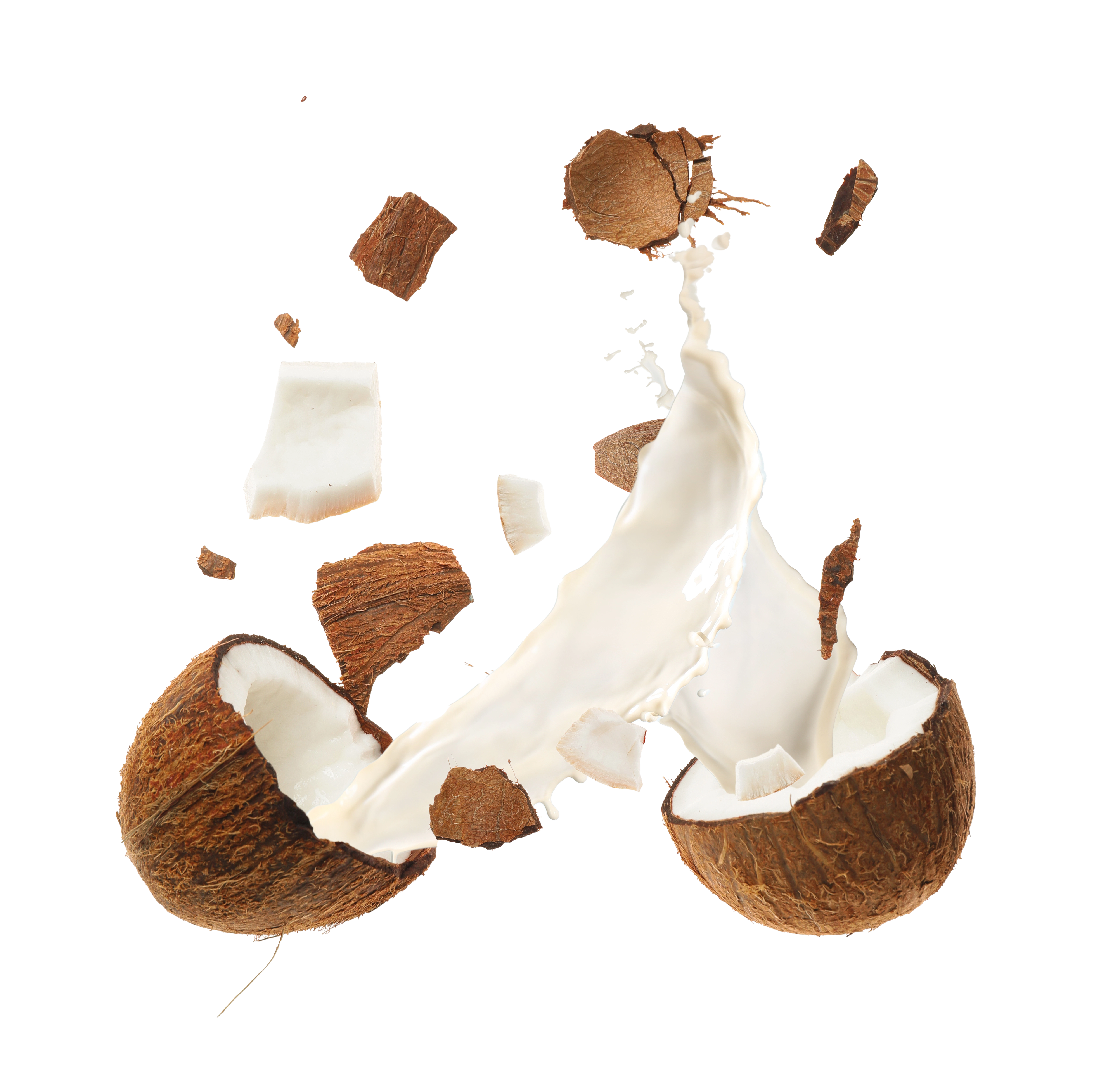 Focus - Flow State Coffee